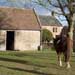 the barn